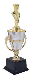 Assembled Trophy