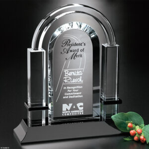 Biltmore Award 8"