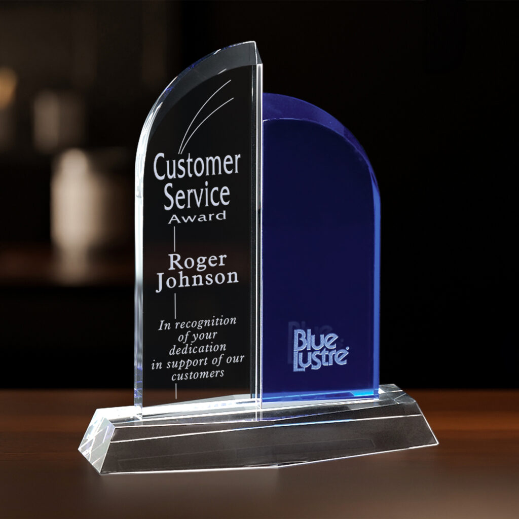 Brigadier Award 8"