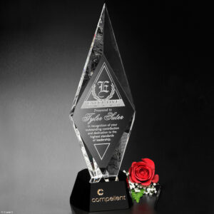 Chaska Award 11"