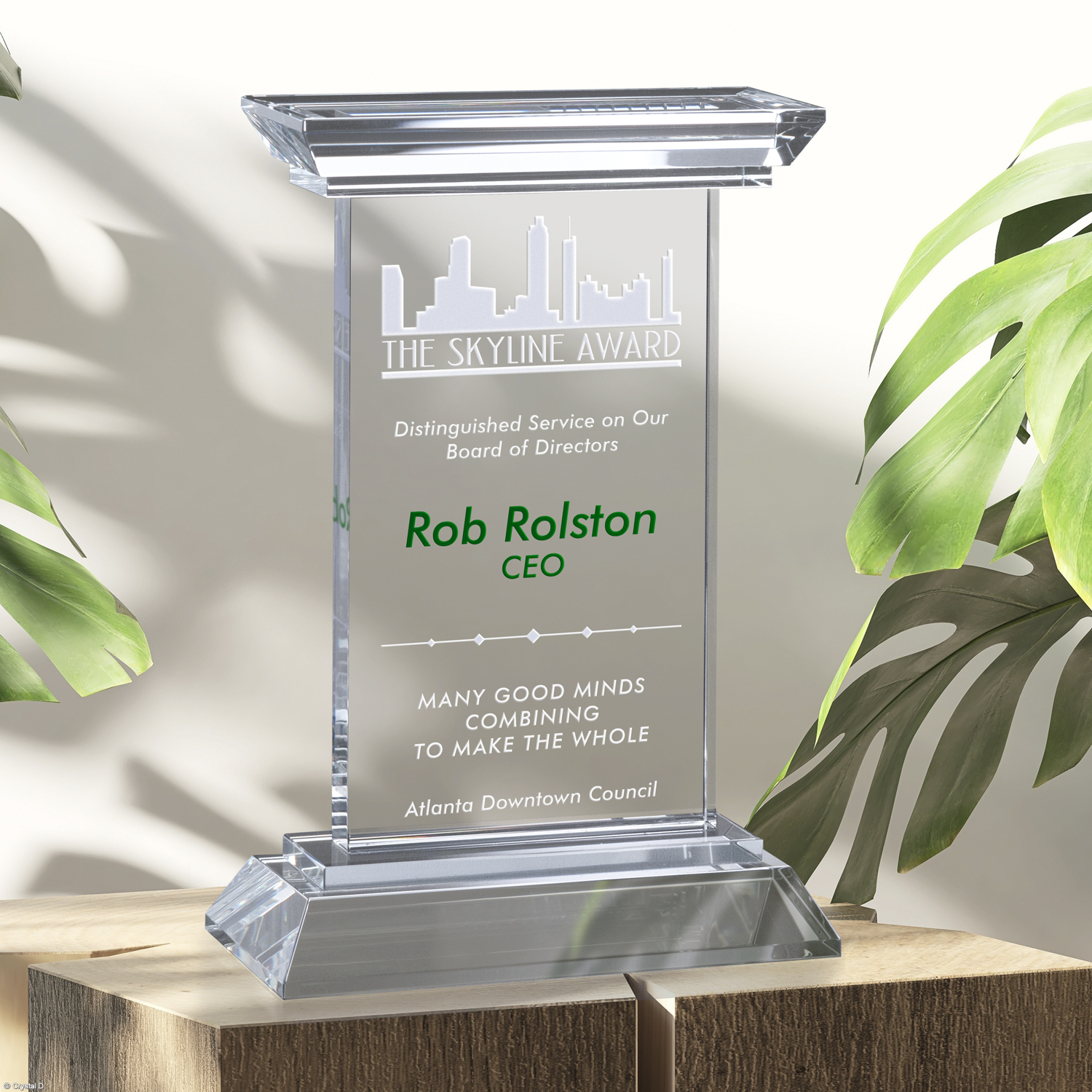 Chatfield Award 9"
