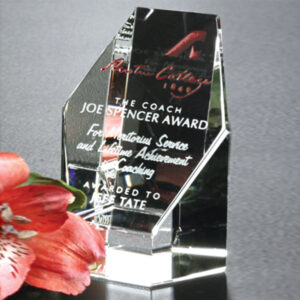 Citadel Award 3-1/4"
