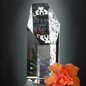 Citadel Award 5-1/2"