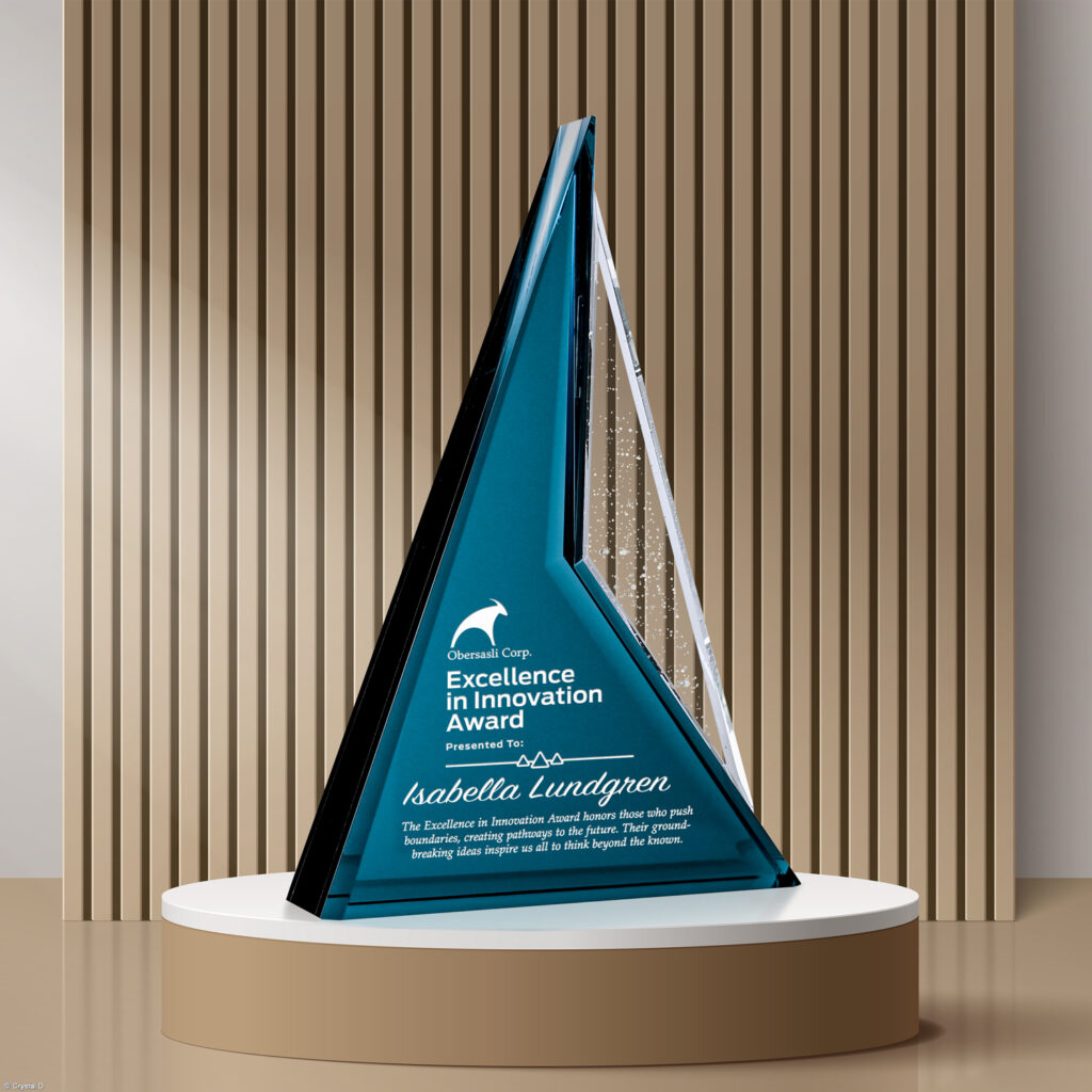 Endurance Award 11-1/2"