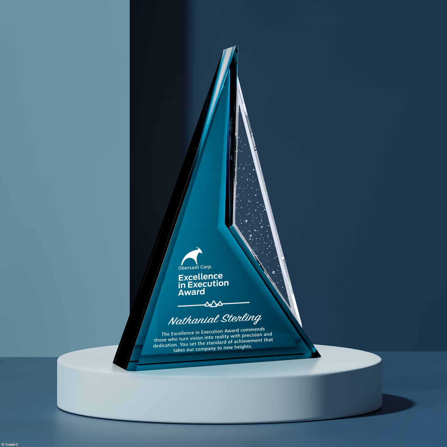Endurance Award 8-1/2"
