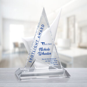 Enterprise Award 10-1/2"