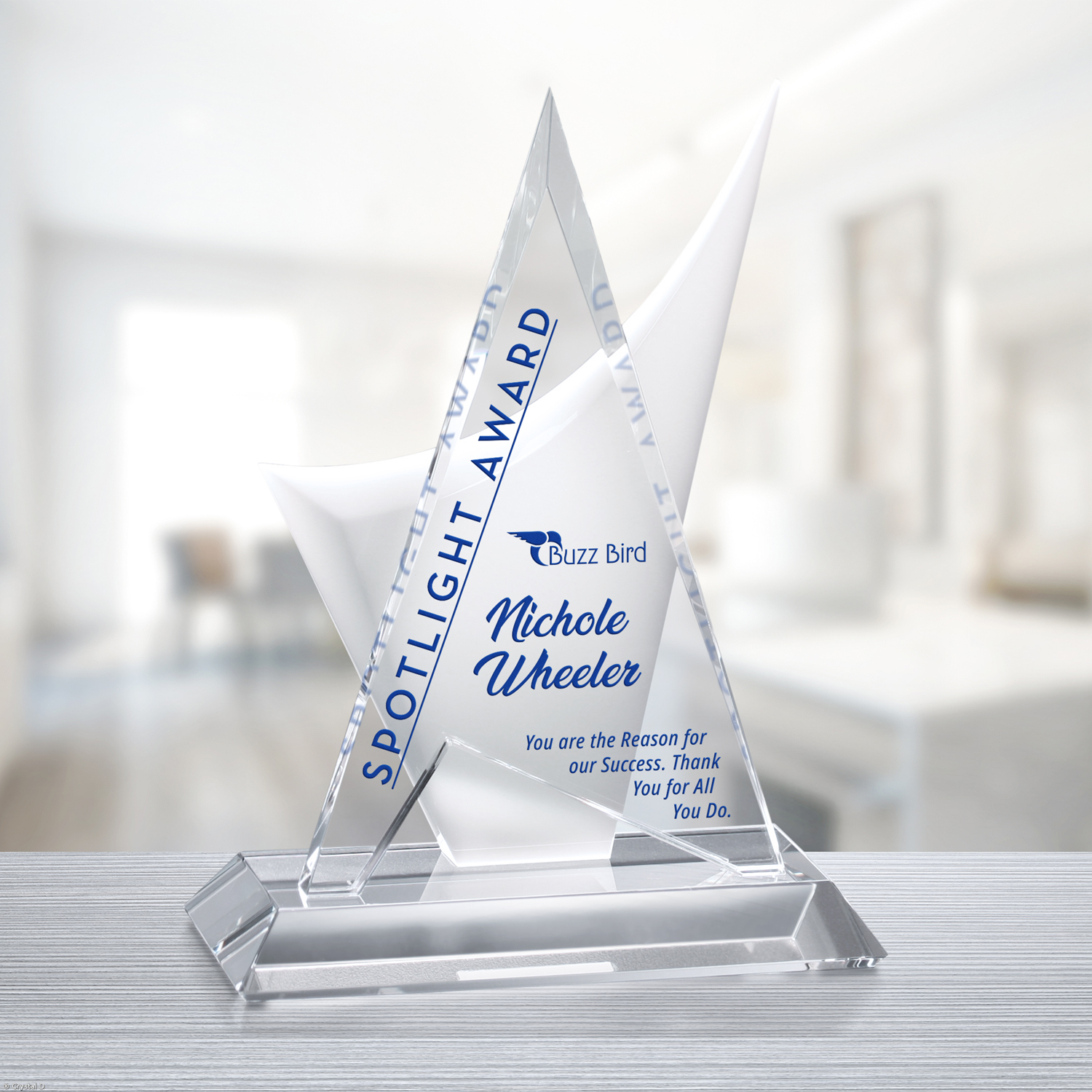 Enterprise Award 10-1/2"