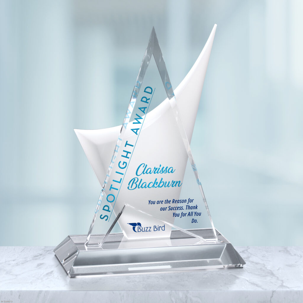 Enterprise Award 11-1/2"