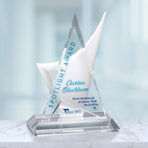 Enterprise Award 11-1/2"