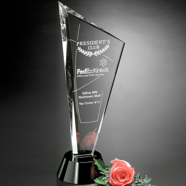 Invincible Award 12"