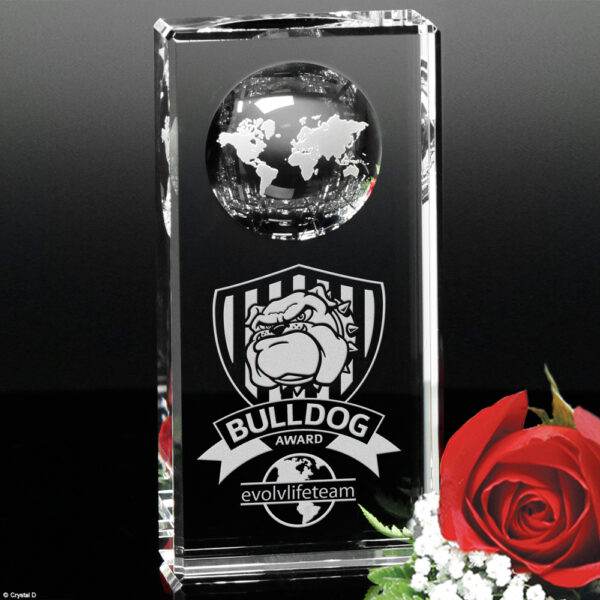 Kendall Global Award 6"