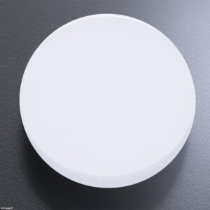 Kittery Goal-Setter Disc MD White