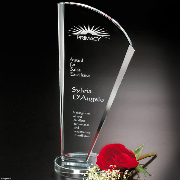 Merit Award 10-1/4"