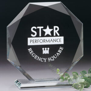 Omni Award 8-1/2"