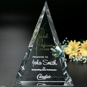 Palisade Award 8"