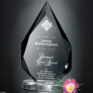 Paragon Diamond 12"