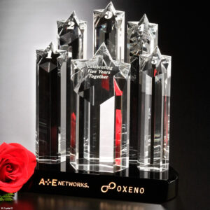 Prominence Award 9"