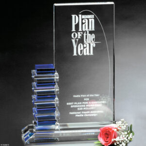 Resolute Award 11-1/2"