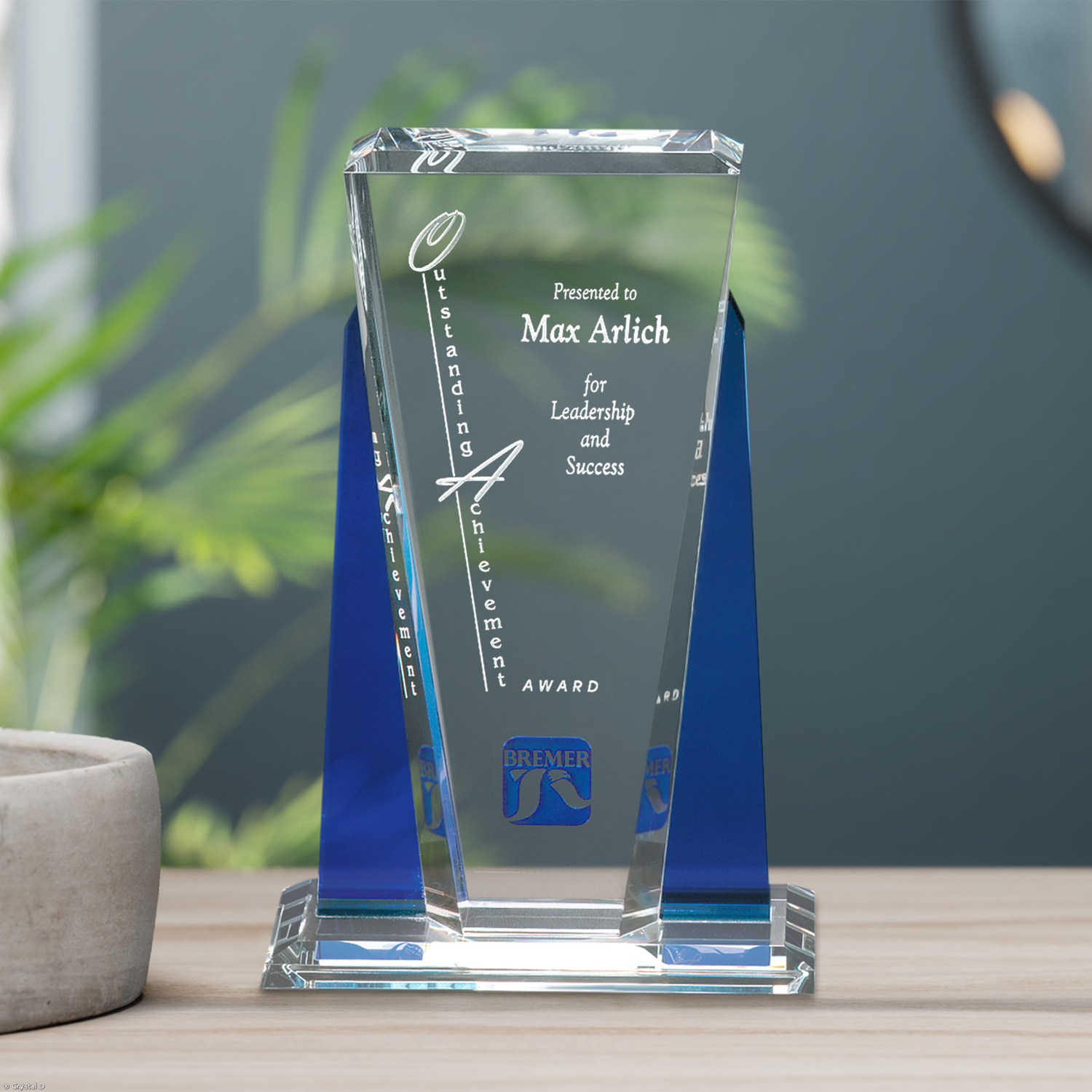 Sentinel Award 10-1/2"