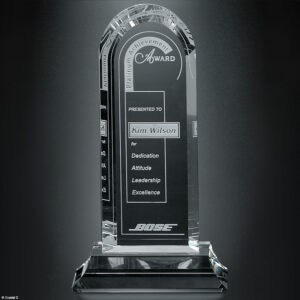 Skyline Award 11-1/2"