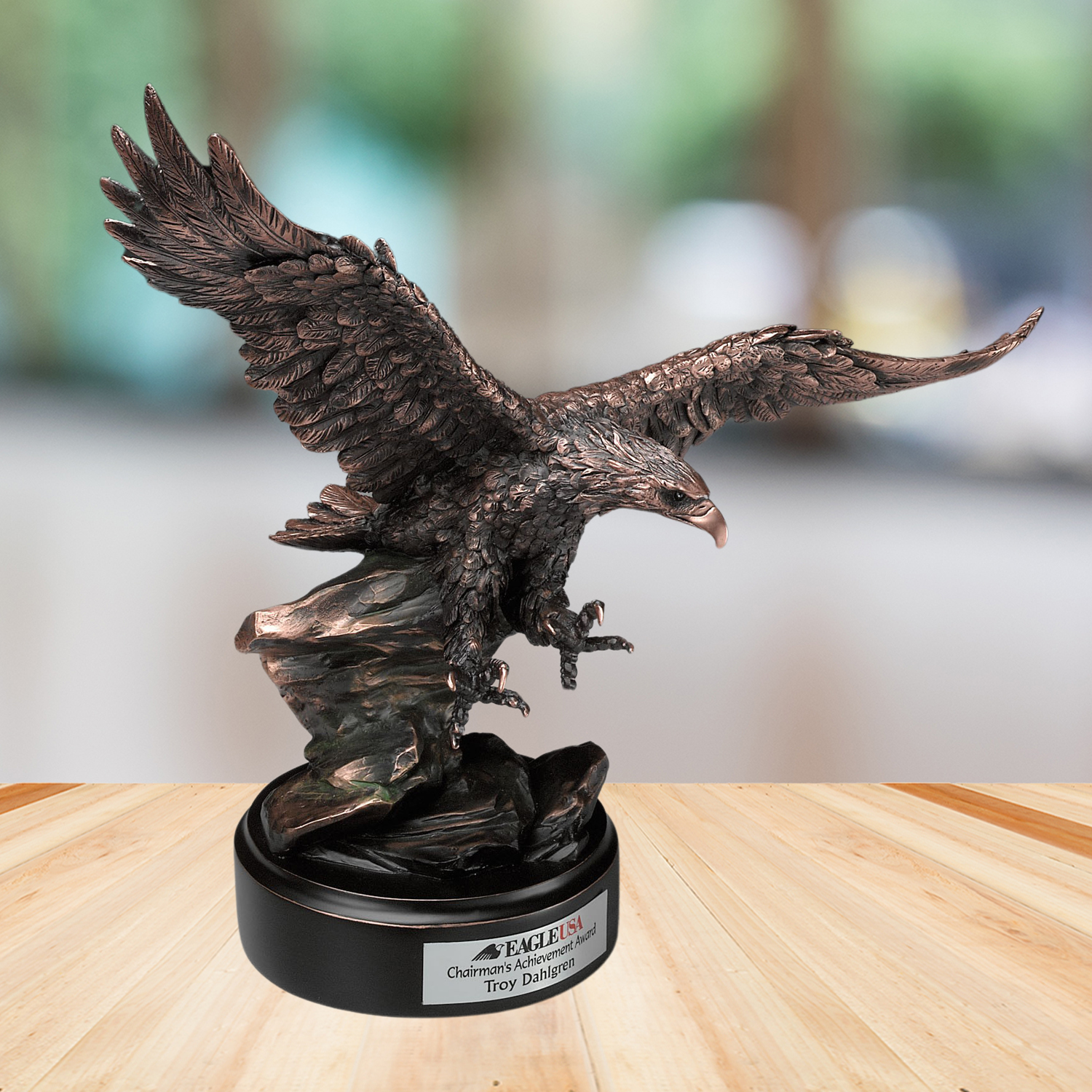 Soaring Eagle 15"