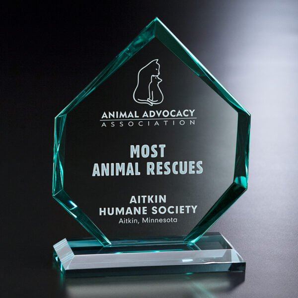 Titan Award 6-1/2"