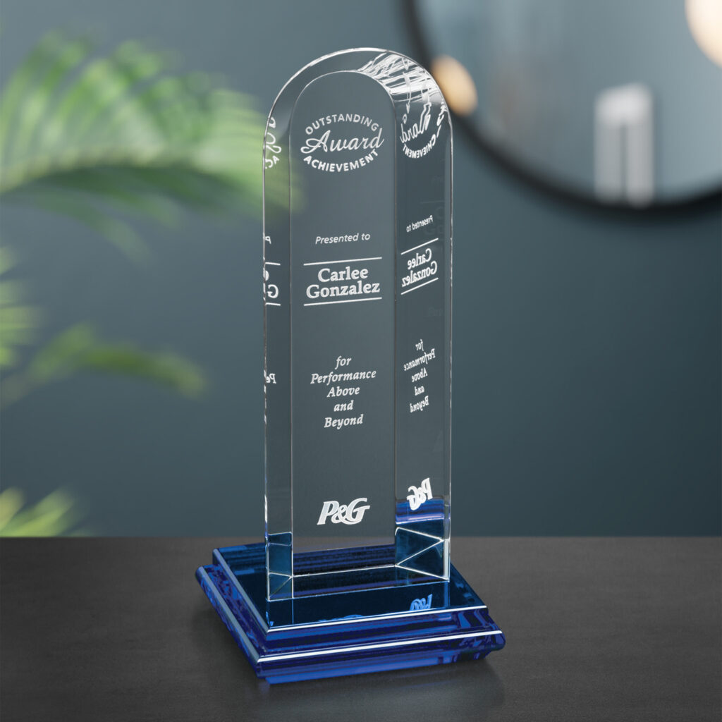 Vision Award 8-1/2"