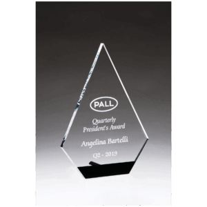 5" x 7" Diamond Series Clear Acrylic with Black Accent and Silver Post