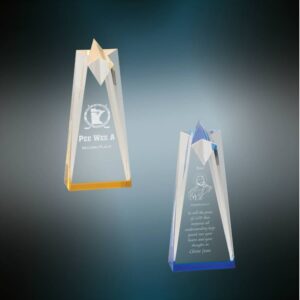 8" Sculpted Star Acrylic Blank Sample Set