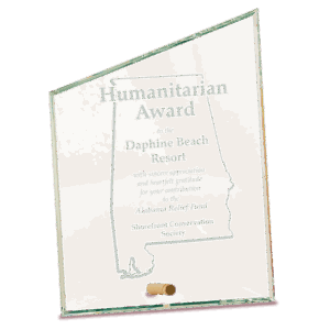 6" x 8" Clear Slant Rectangle CrystalEdge Glass
