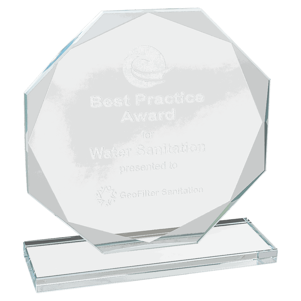 6 1/2" Octagon Clear Glass Award