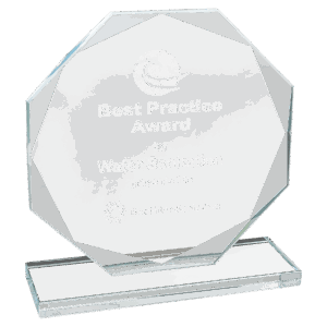 6 1/2" Octagon Clear Glass Award