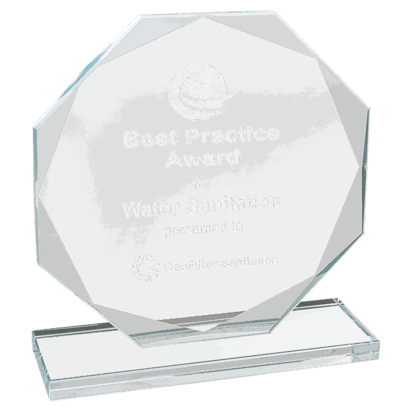 6 1/2" Octagon Clear Glass Award