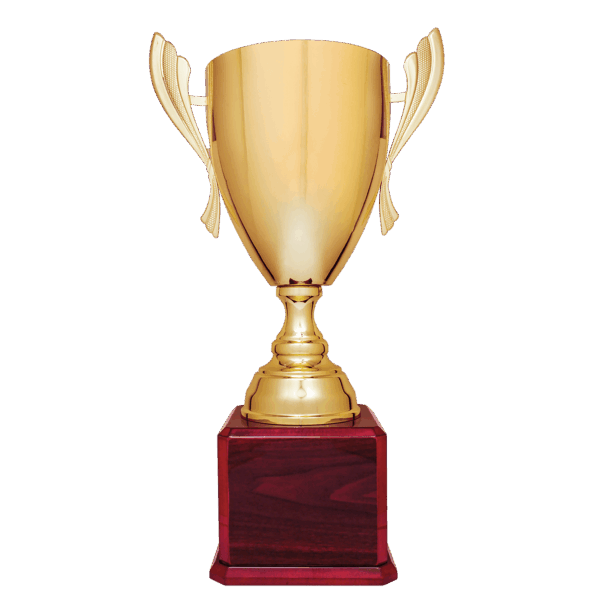 24 3/4" Gold Completed Metal Cup Trophy on Rosewood Royal Piano Finish Base