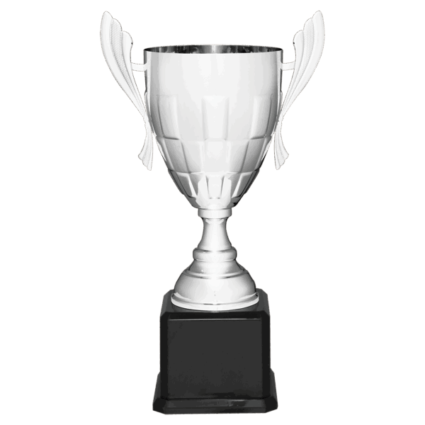 22" Silver Completed Metal Cup Trophy on Black Royal Piano Finish Base