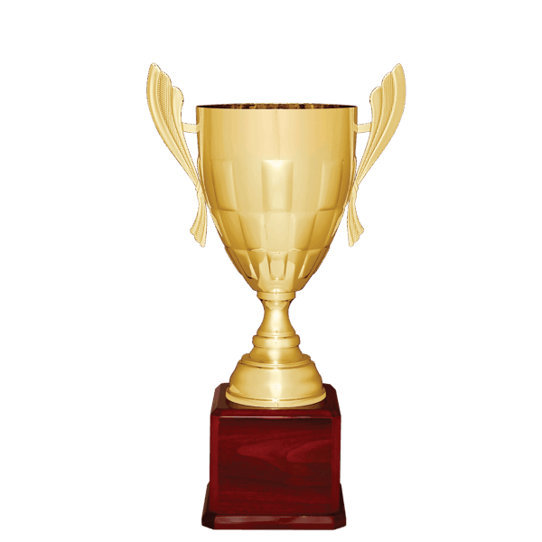 24 3/4" Gold Completed Metal Cup Trophy on Rosewood Royal Piano Finish Base