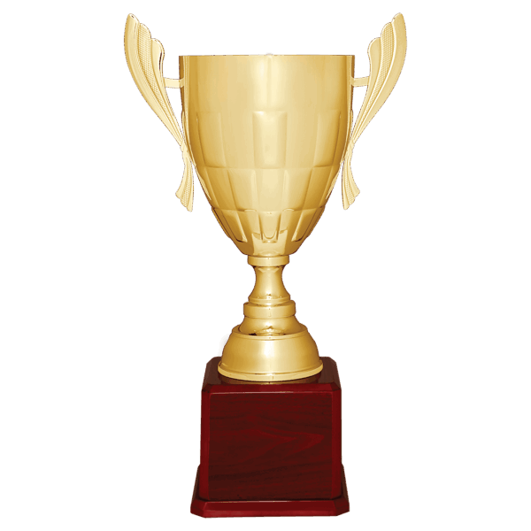 26 1/2" Gold Completed Metal Cup Trophy on Rosewood Royal Piano Finish Base