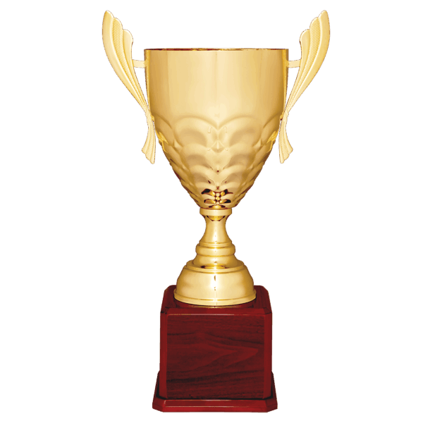 25 1/4" Gold Completed Metal Cup Trophy on Rosewood Royal Piano Finish Base