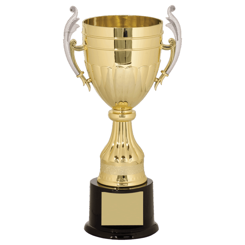 11" Gold/Silver Plastic Completed Cup Trophy