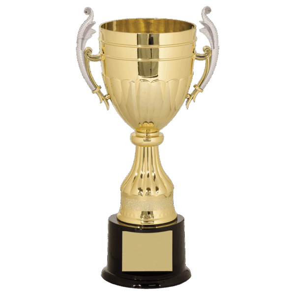 11" Gold/Silver Plastic Completed Cup Trophy