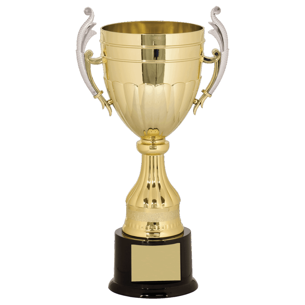 13" Gold/Silver Plastic Completed Cup Trophy