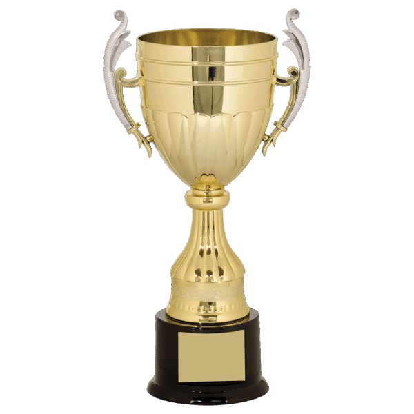 13" Gold/Silver Plastic Completed Cup Trophy