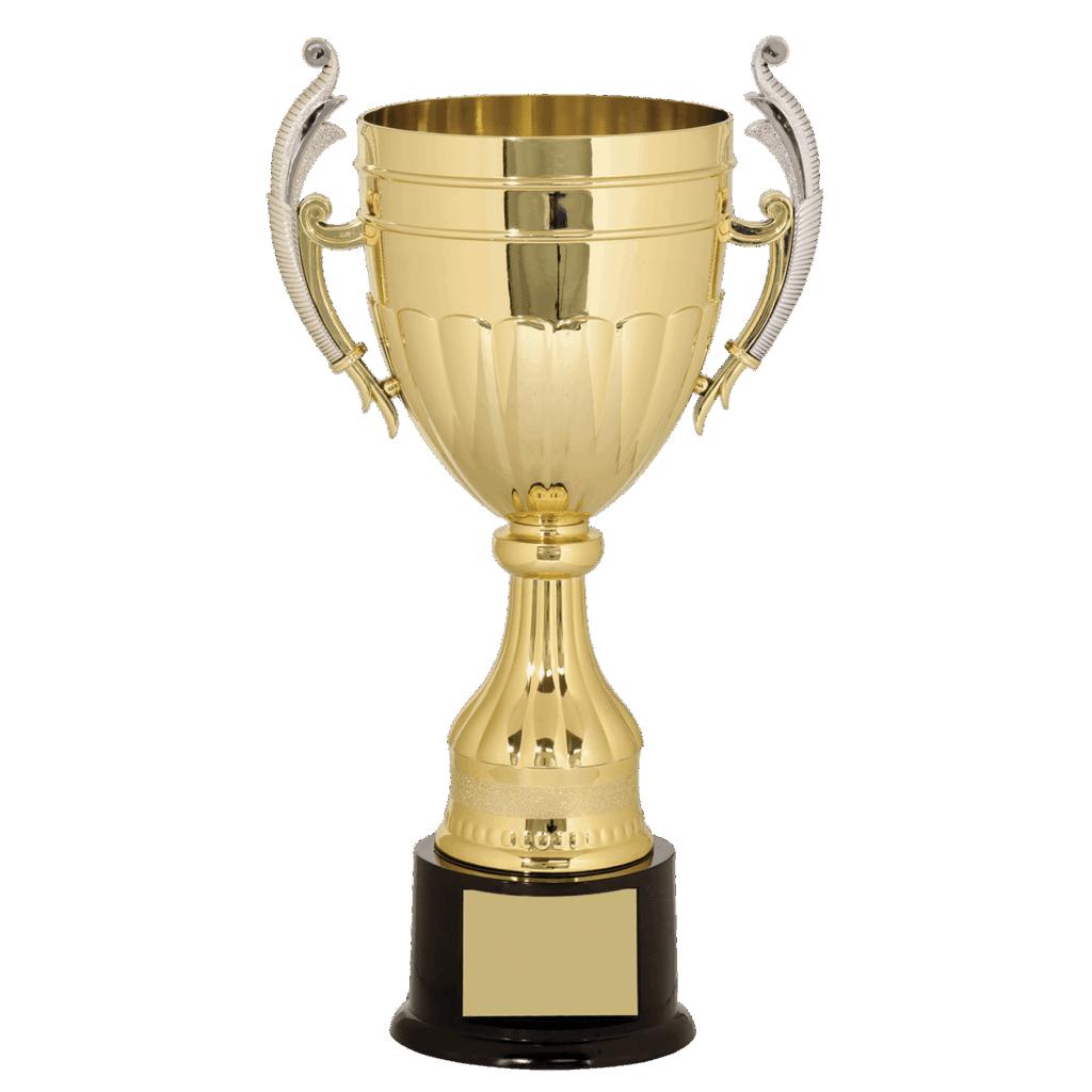 15" Gold/Silver Plastic Completed Cup Trophy