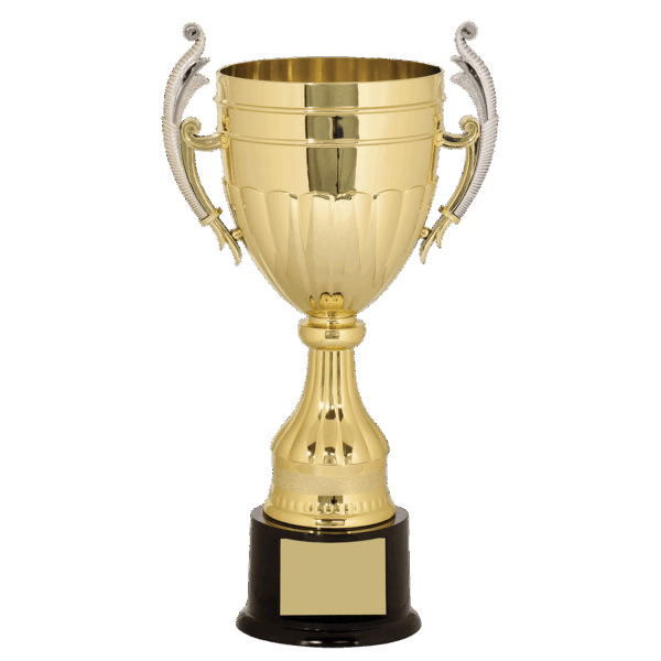 15" Gold/Silver Plastic Completed Cup Trophy