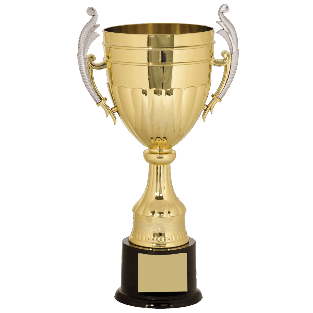 16 3/4" Gold/Silver Plastic Completed Cup Trophy