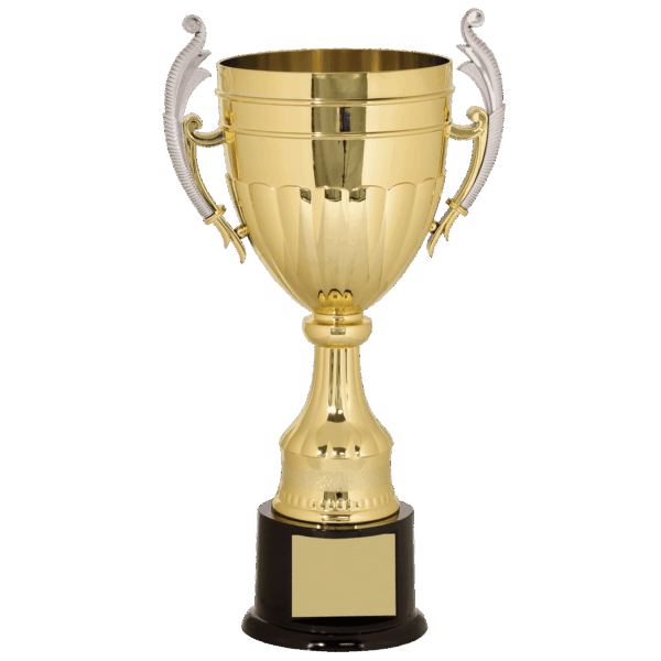 16 3/4" Gold/Silver Plastic Completed Cup Trophy