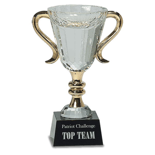7 1/4" Crystal Cup with Gold Handles and Stem