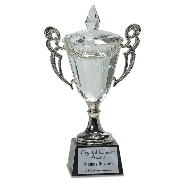 11 1/4" Crystal Cup with Silver Handles and Stem