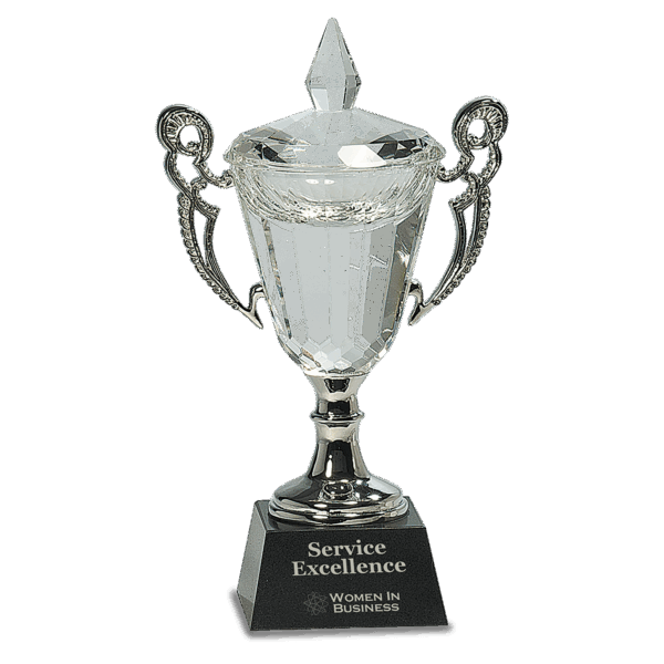 9 1/2" Crystal Cup with Silver Handles and Stem