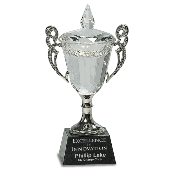 8" Crystal Cup with Silver Handles and Stem